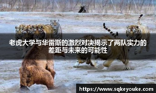 球盟会官网